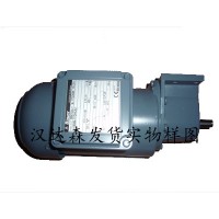 Danfoss Bauer BS系列蝸輪電動機(jī)